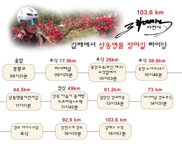 장미길 이미지