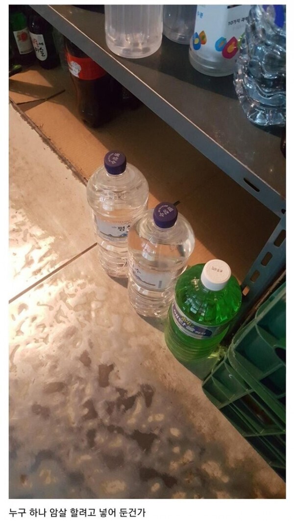 하루갤러리 이미지