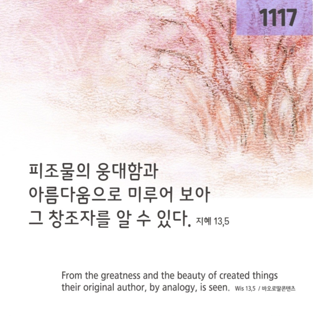 엘리사벳 이미지
