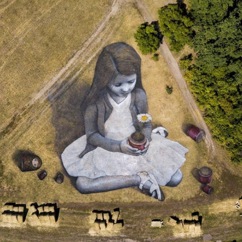 하늘에서만 볼 수 있는 거대한 그림 | 인스티즈