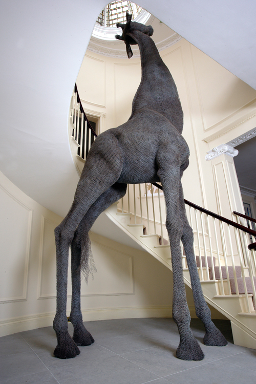 철사와 철망으로 만든 야생동물 | 인스티즈