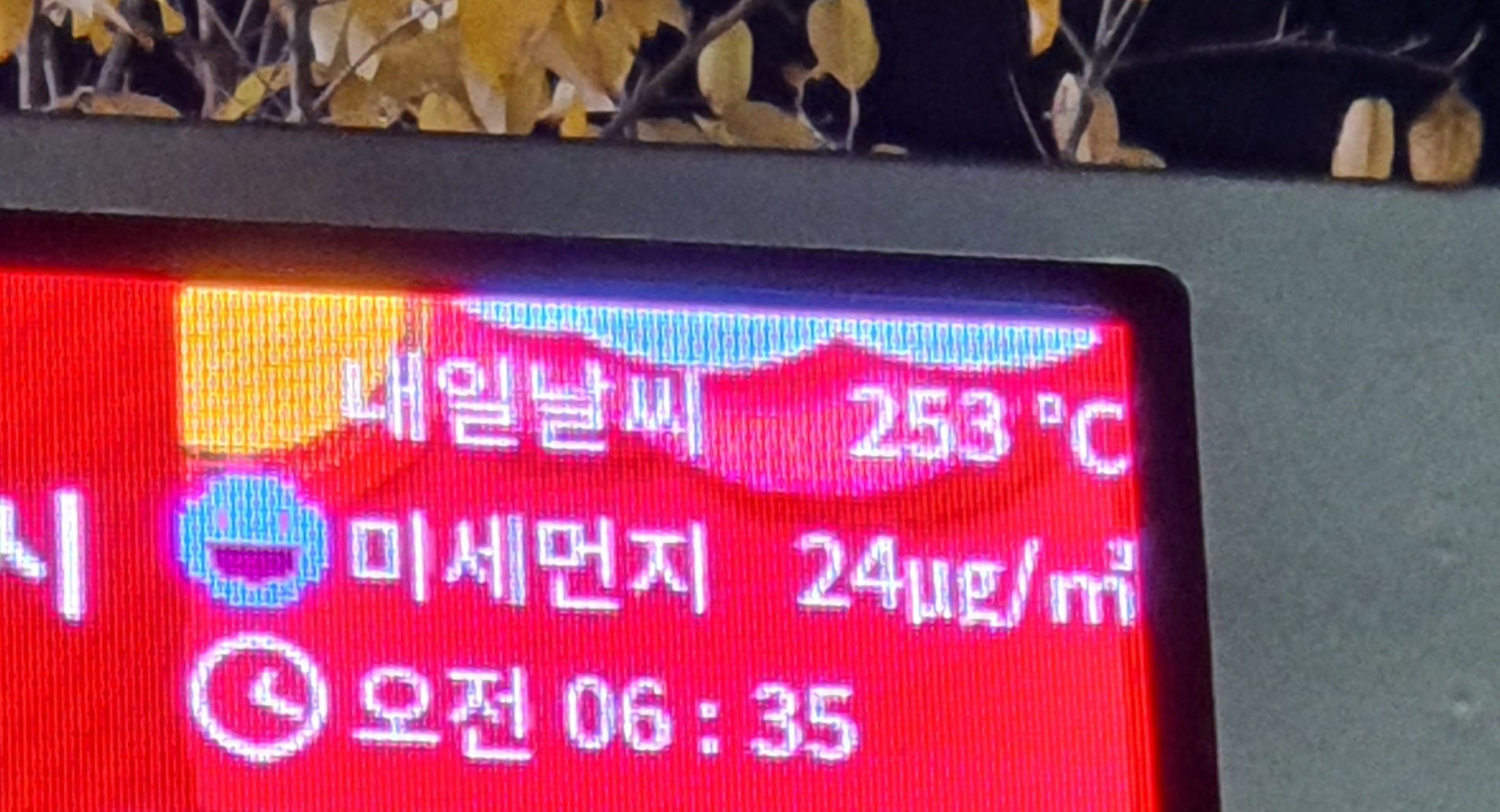마숑 이미지