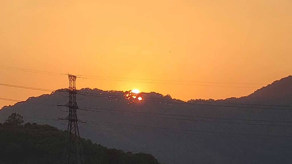 달빛사냥 이미지