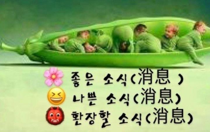 좋은소식 이미지