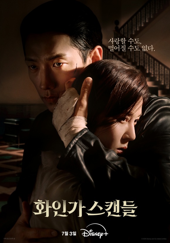 더화인 이미지