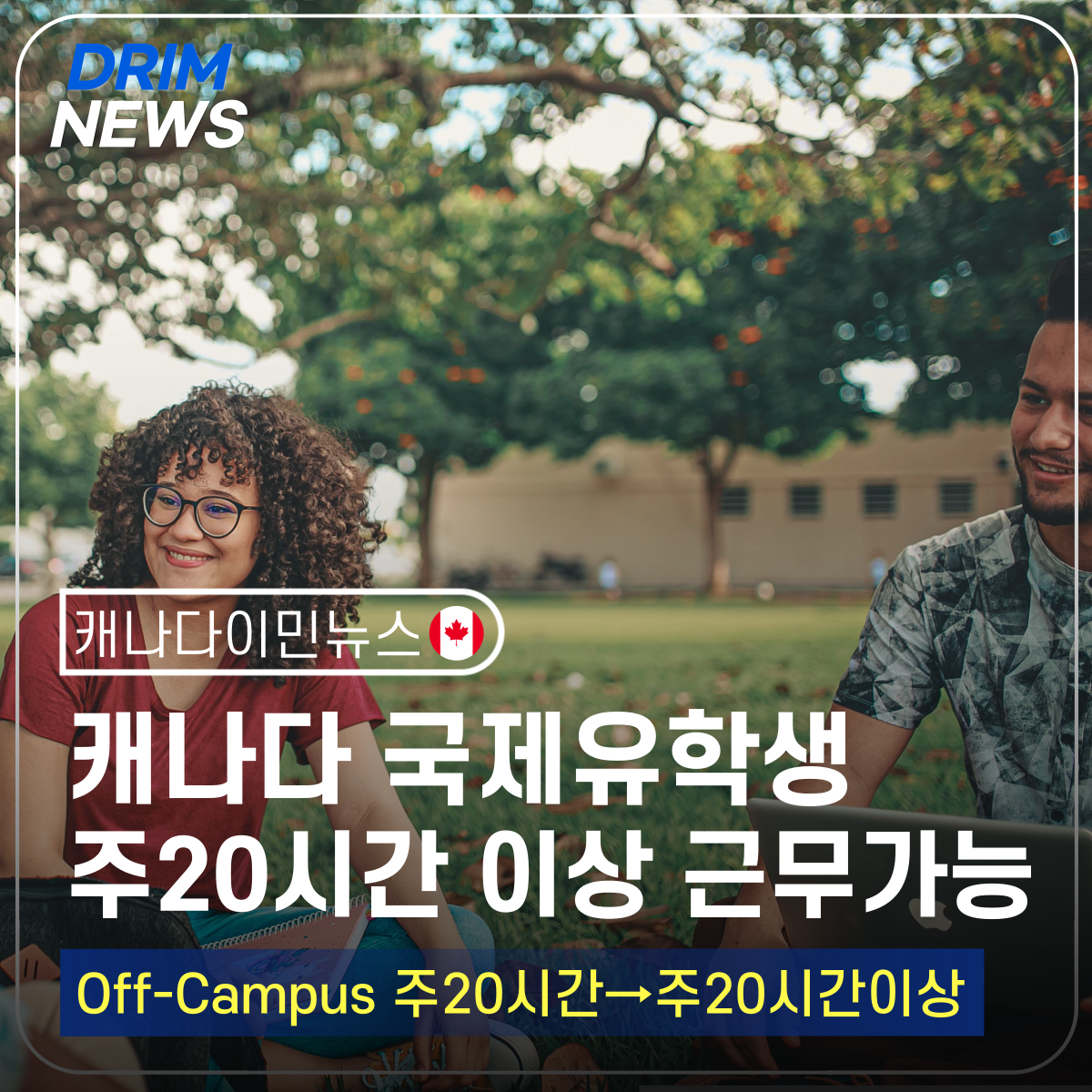 비자드림 이미지