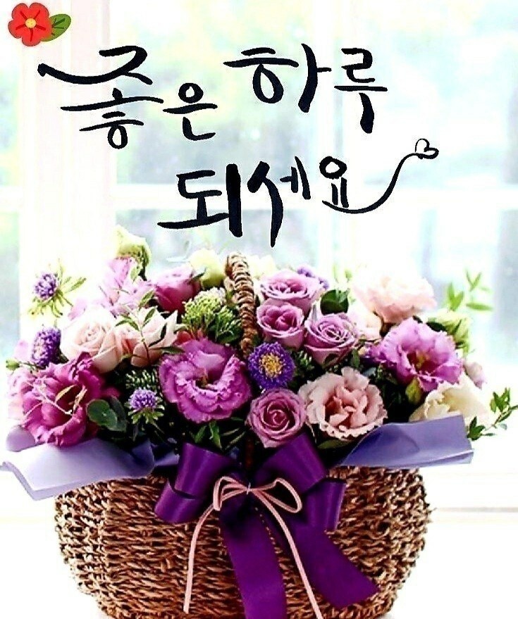 노랑병아리 이미지