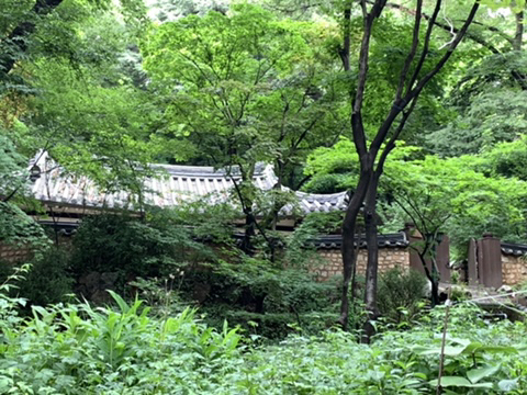 커피마켓 이미지