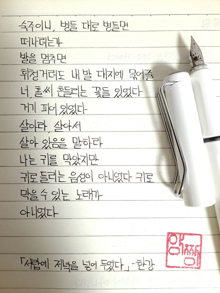 은삼이네 이미지
