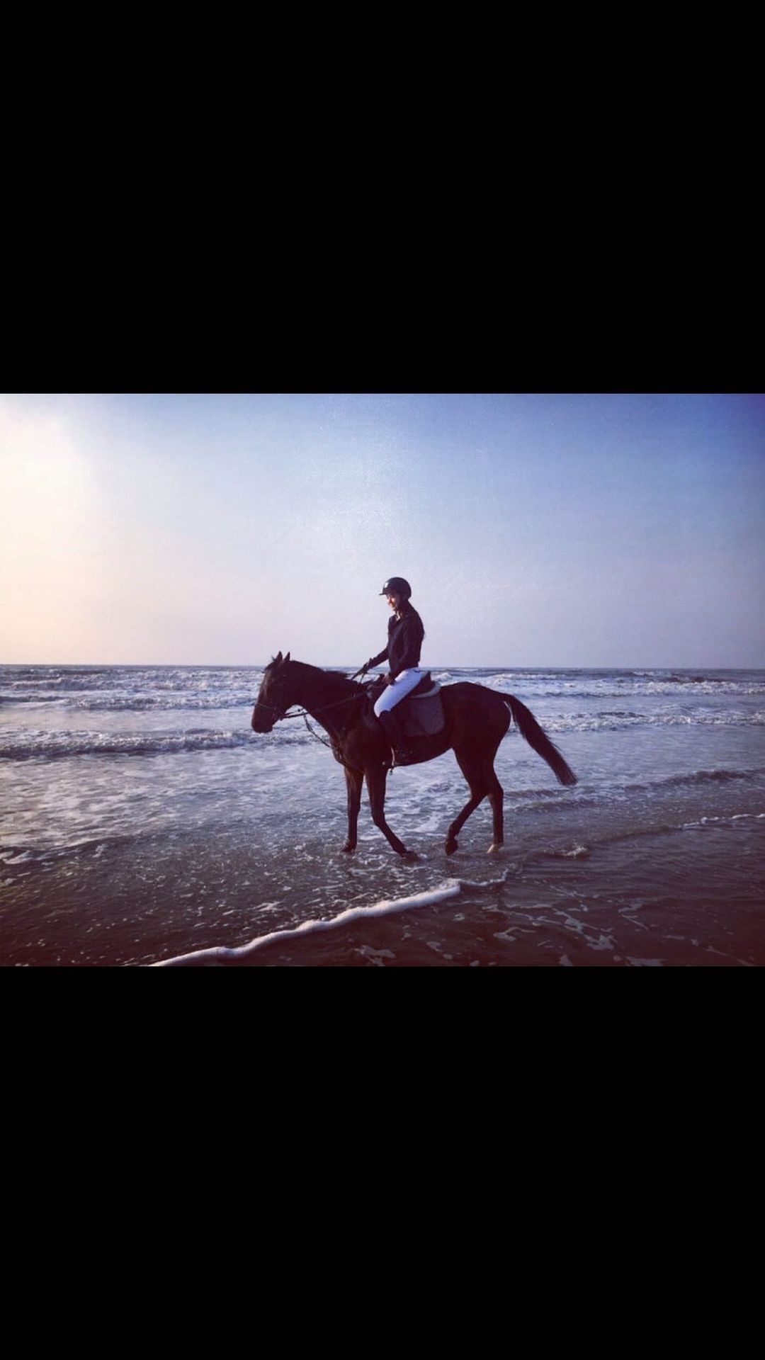 bdcee6242ff22ef750a3d6f5fd3a7f3dac6f8ef8