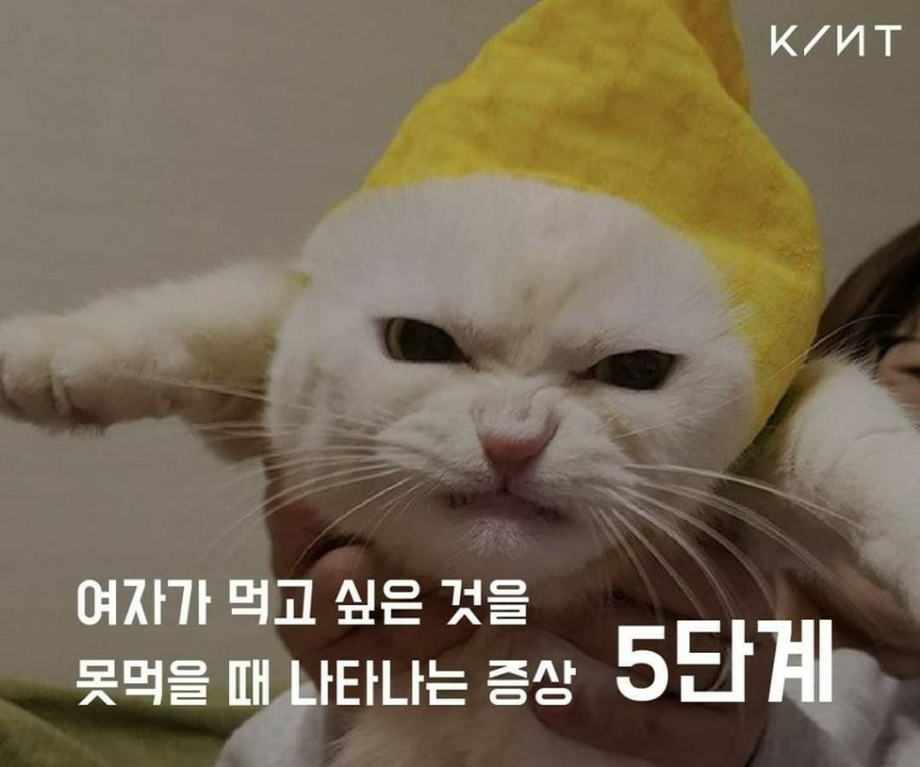 공감 이미지