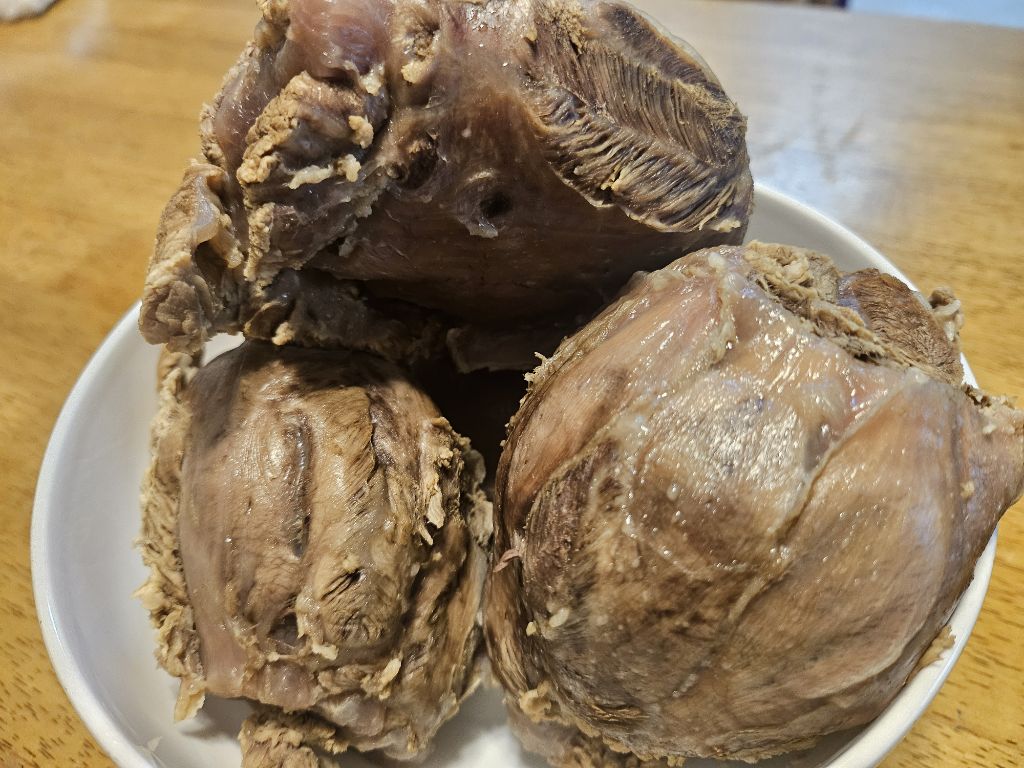 오늘 저녁~~~ - 【일상이야기】 - BMW Mania