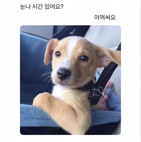 (주)금제 이미지