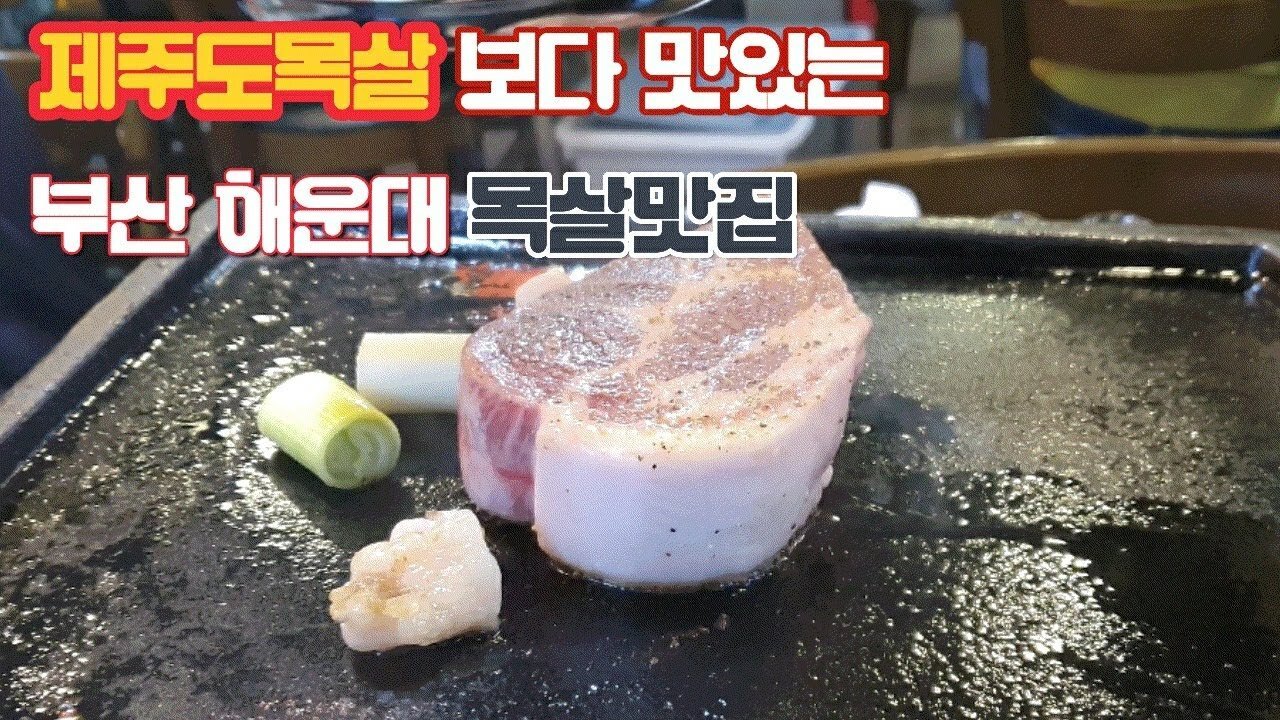 인생고기 이미지
