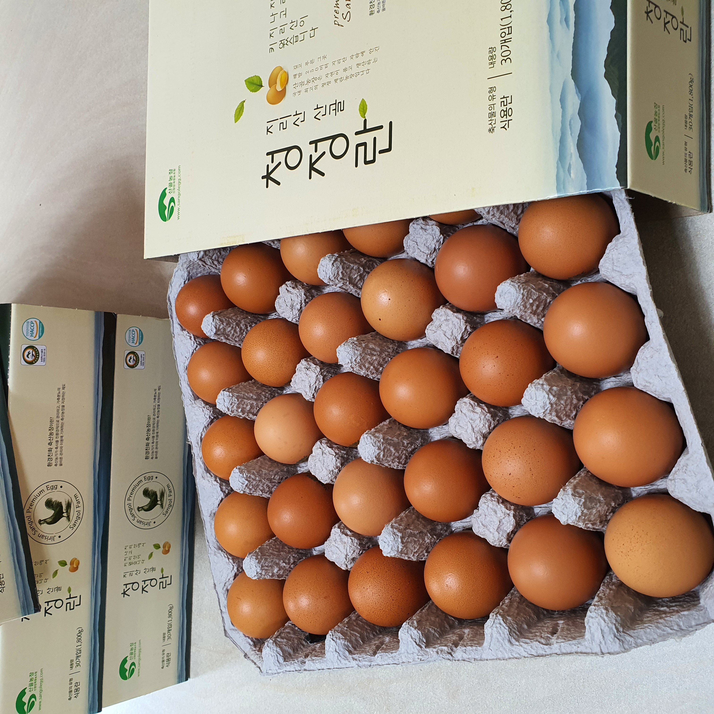 골드팜 이미지