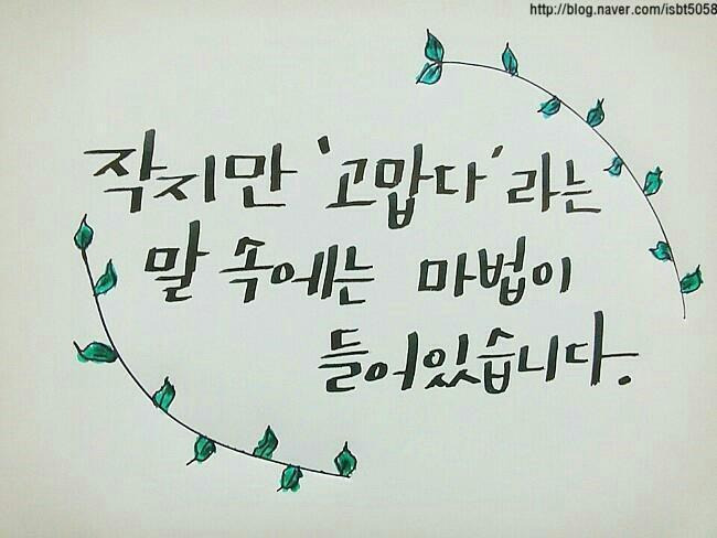 동반자 이미지