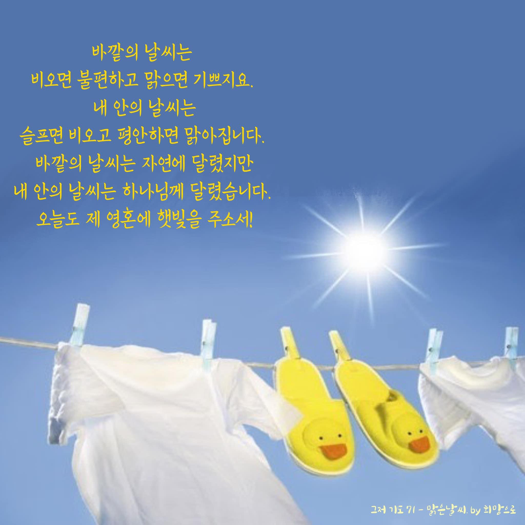 맑은바람 이미지