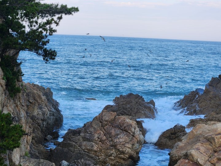 행복자 이미지