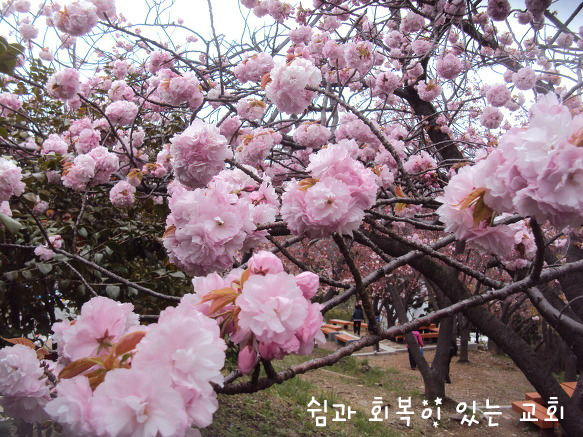 브니엘의아침 이미지