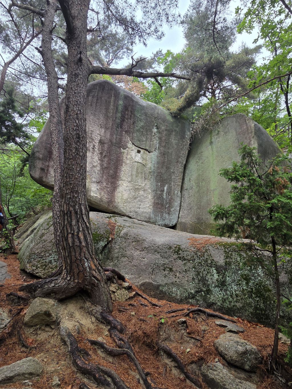 향기나꼬꼬 이미지