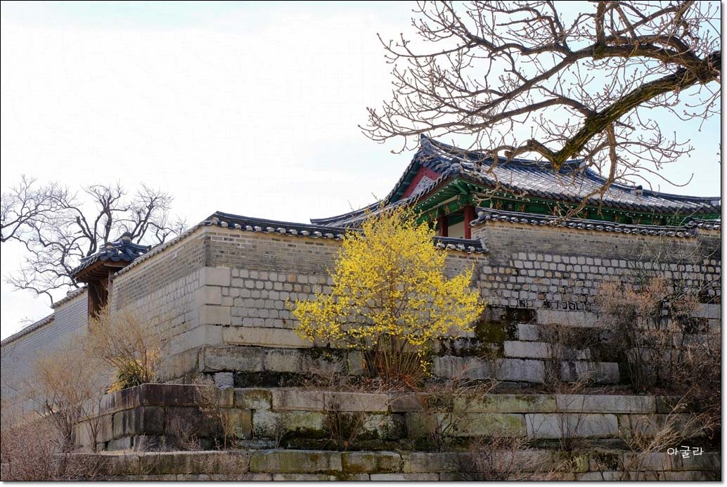 통인정 이미지