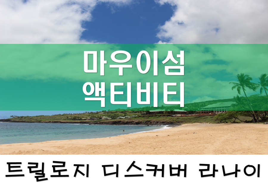 하와이 이미지
