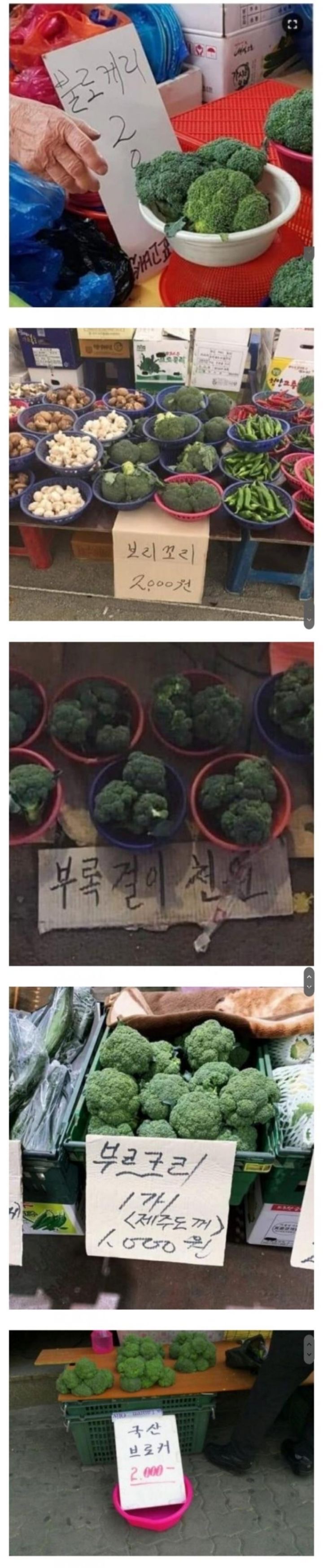 너의 이름은 | 인스티즈