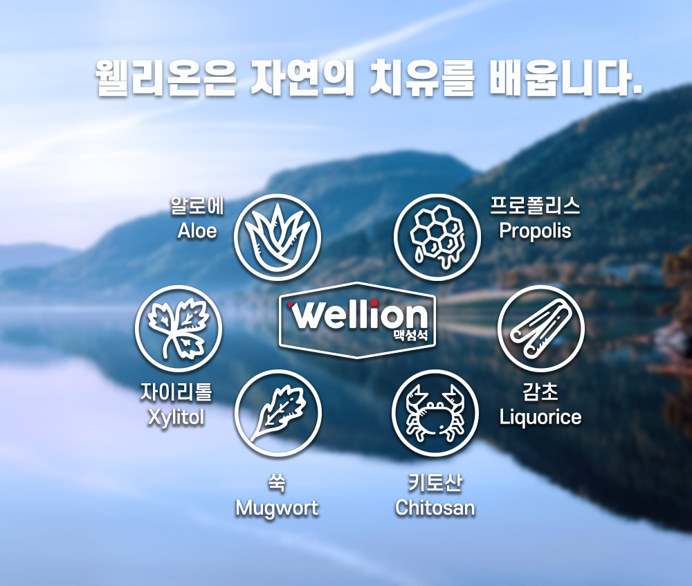 웰리온 이미지