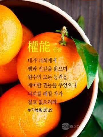 풍요 이미지