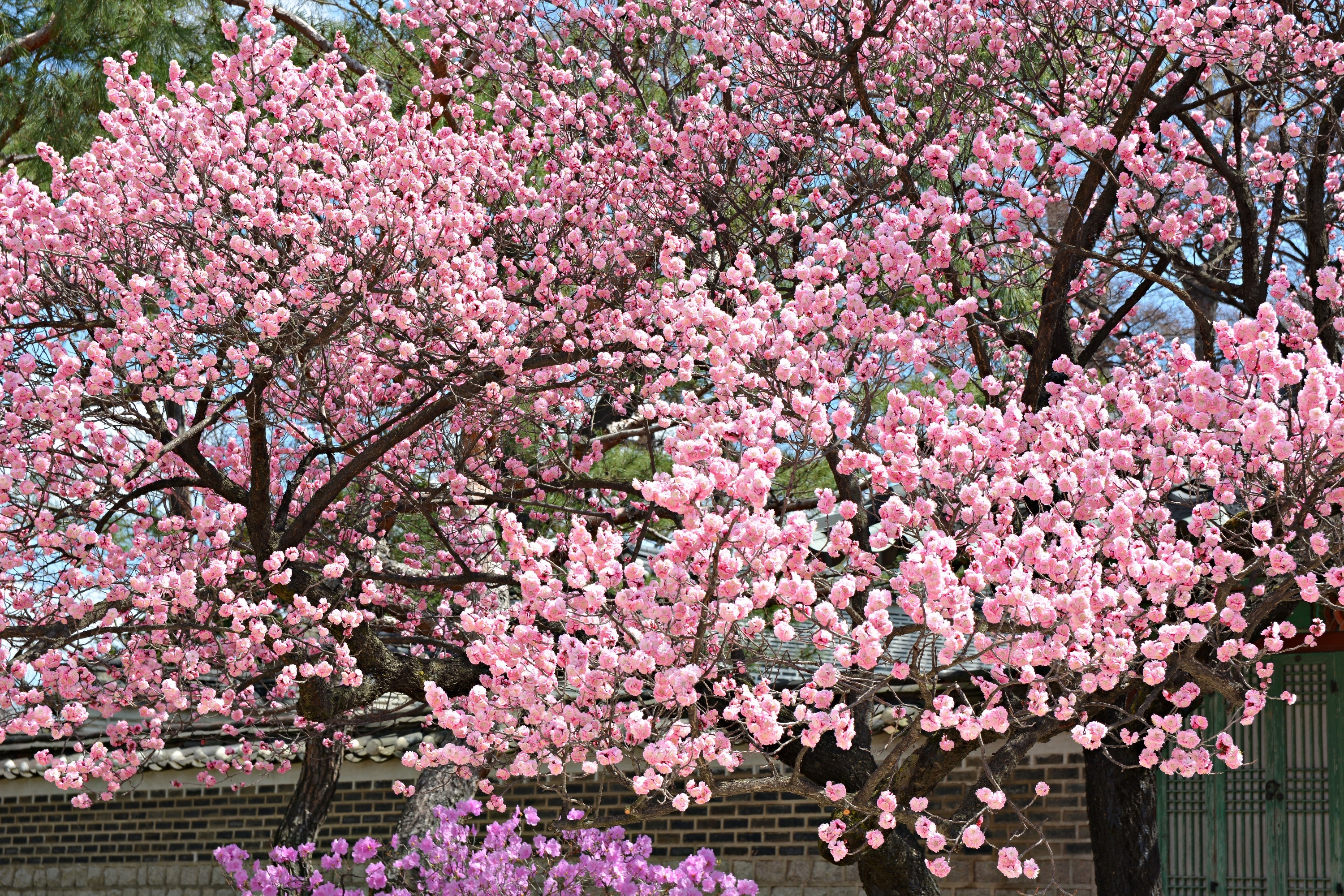 06ca477a102e20ca0fbadff9acc6bf45dd0f4973