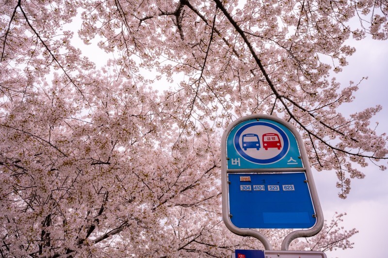 1344bd1d124e0ae405a393b68e726f1a48bdc357