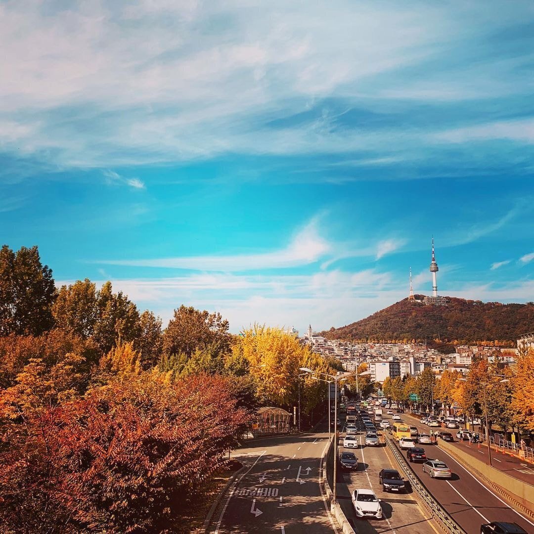 독일 다니엘의 인스타그램에 올라오는 한국 풍경 | 인스티즈