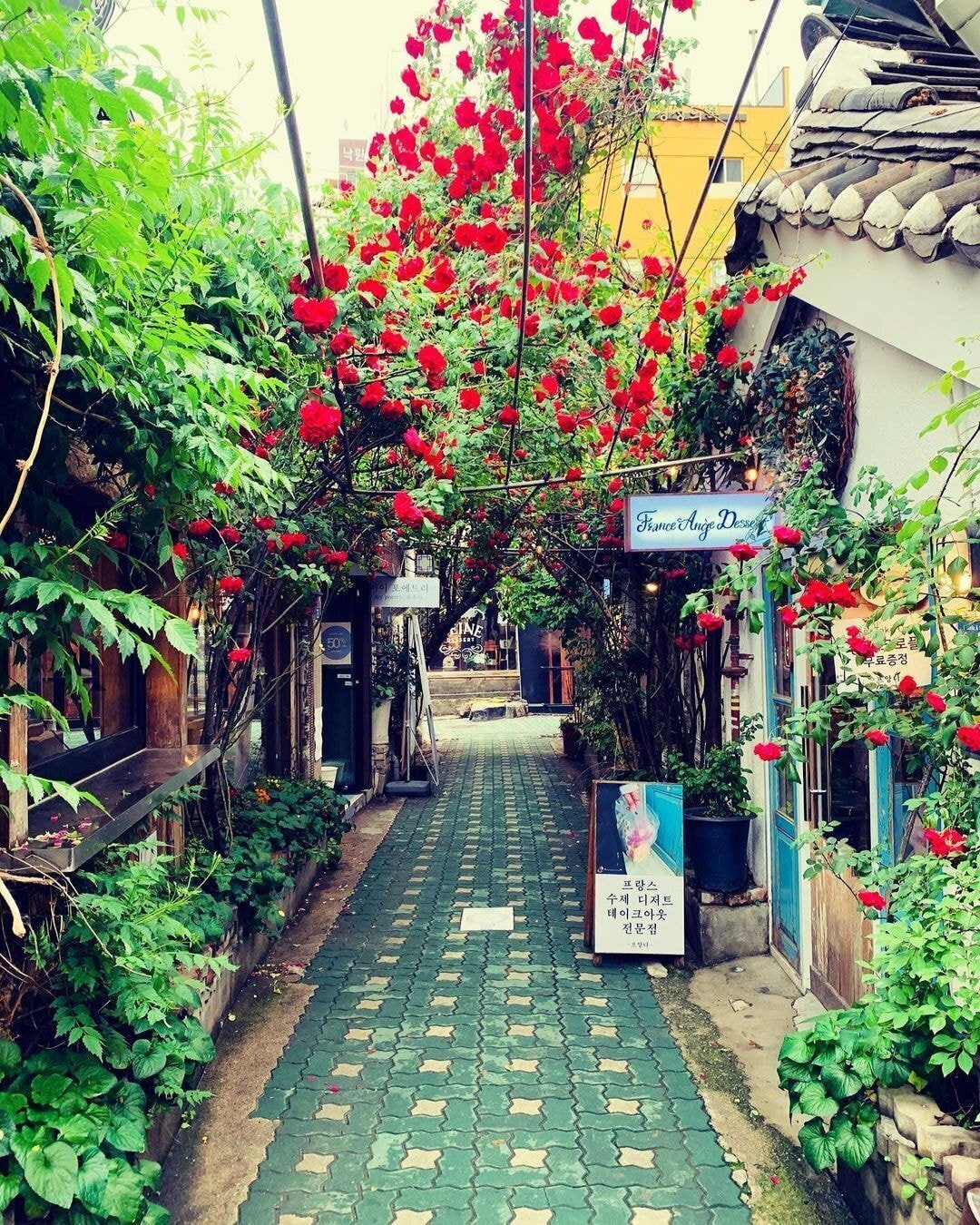 독일 다니엘의 인스타그램에 올라오는 한국 풍경 | 인스티즈