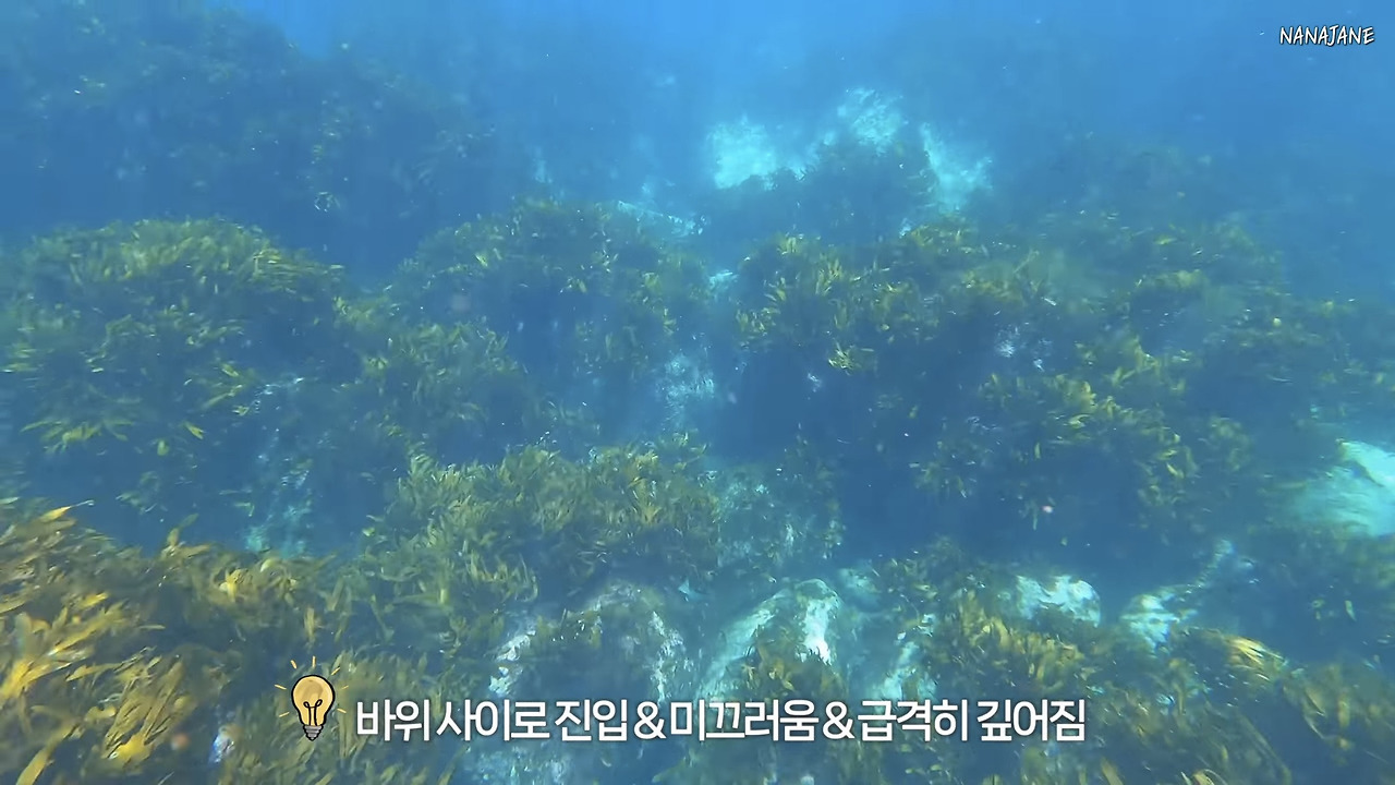 정도환경 이미지