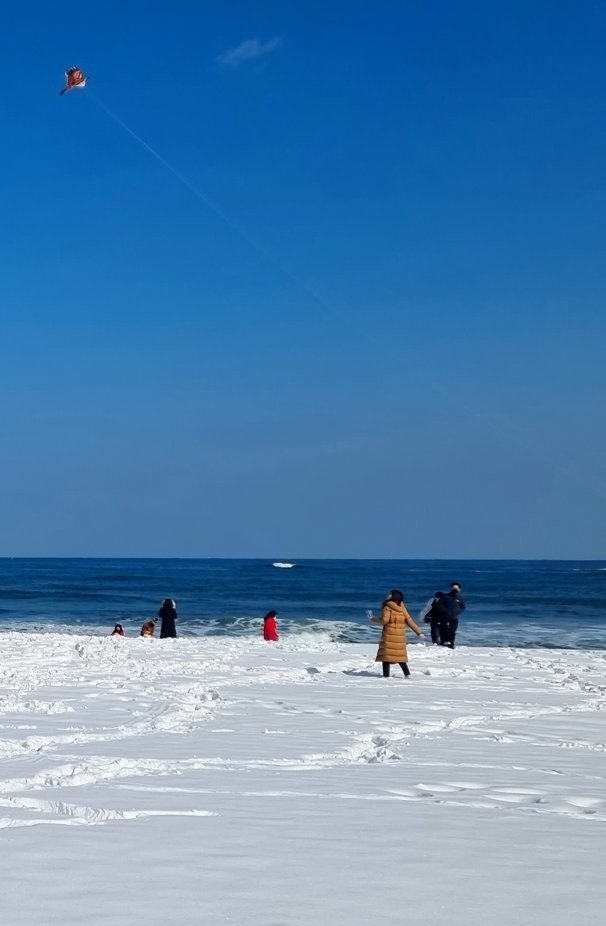 음주폭설로 하얗게 뒤덮힌 강릉 경포대 해변딸 키우는 집에 강아지 키우면 생기는 일.jpg운전 사망자를 90%까지 감소시킨 일본 | 인스티즈