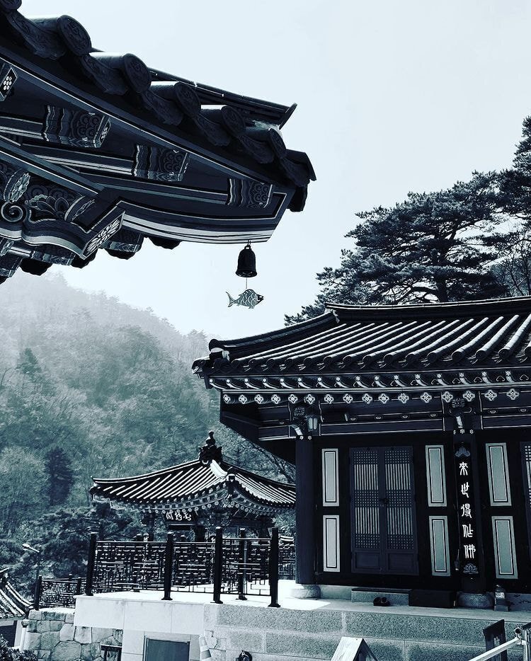 독일 다니엘의 인스타그램에 올라오는 한국 풍경 | 인스티즈