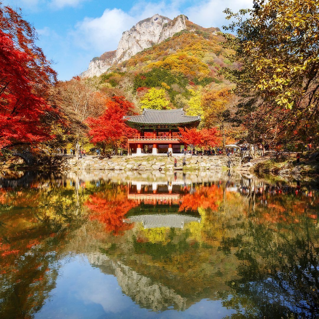 단풍이 물든 내장산 백양사.jpg - 스퀘어 카테고리