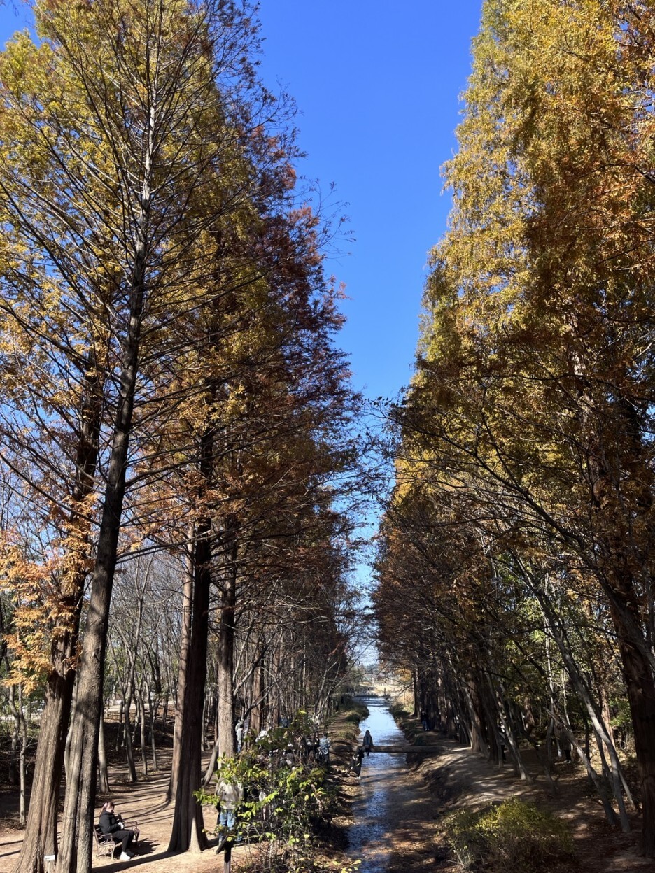 경주산책 이미지