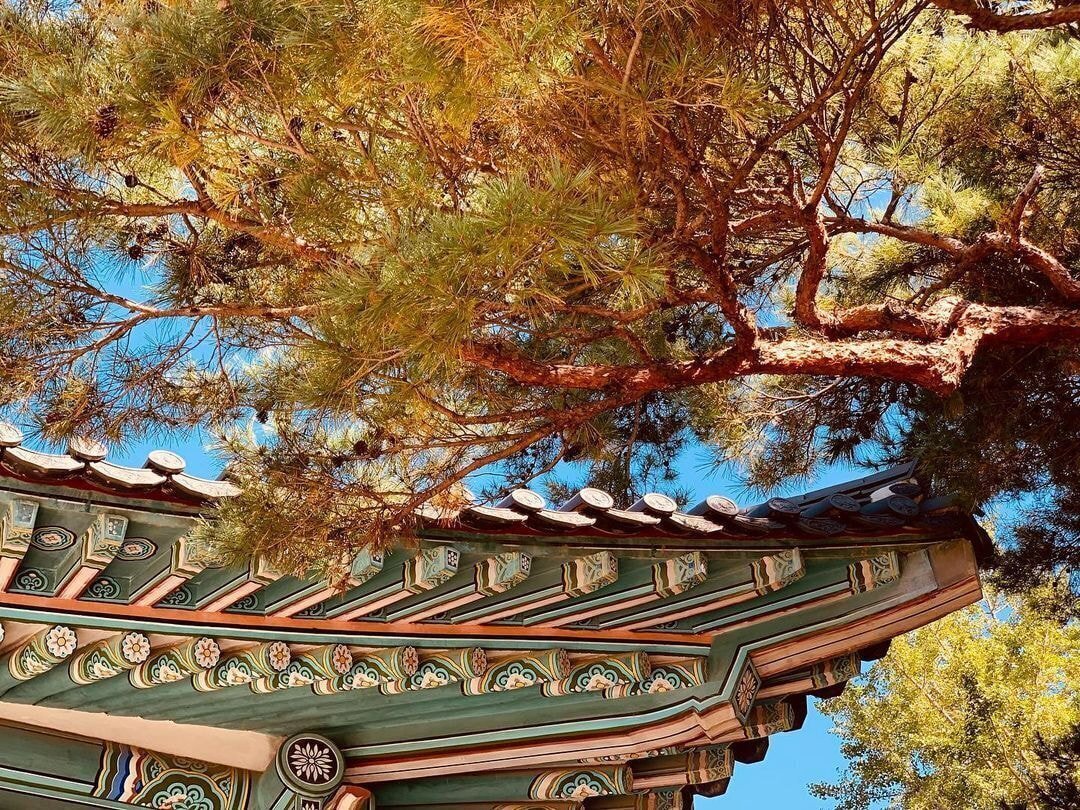 독일 다니엘의 인스타그램에 올라오는 한국 풍경 | 인스티즈