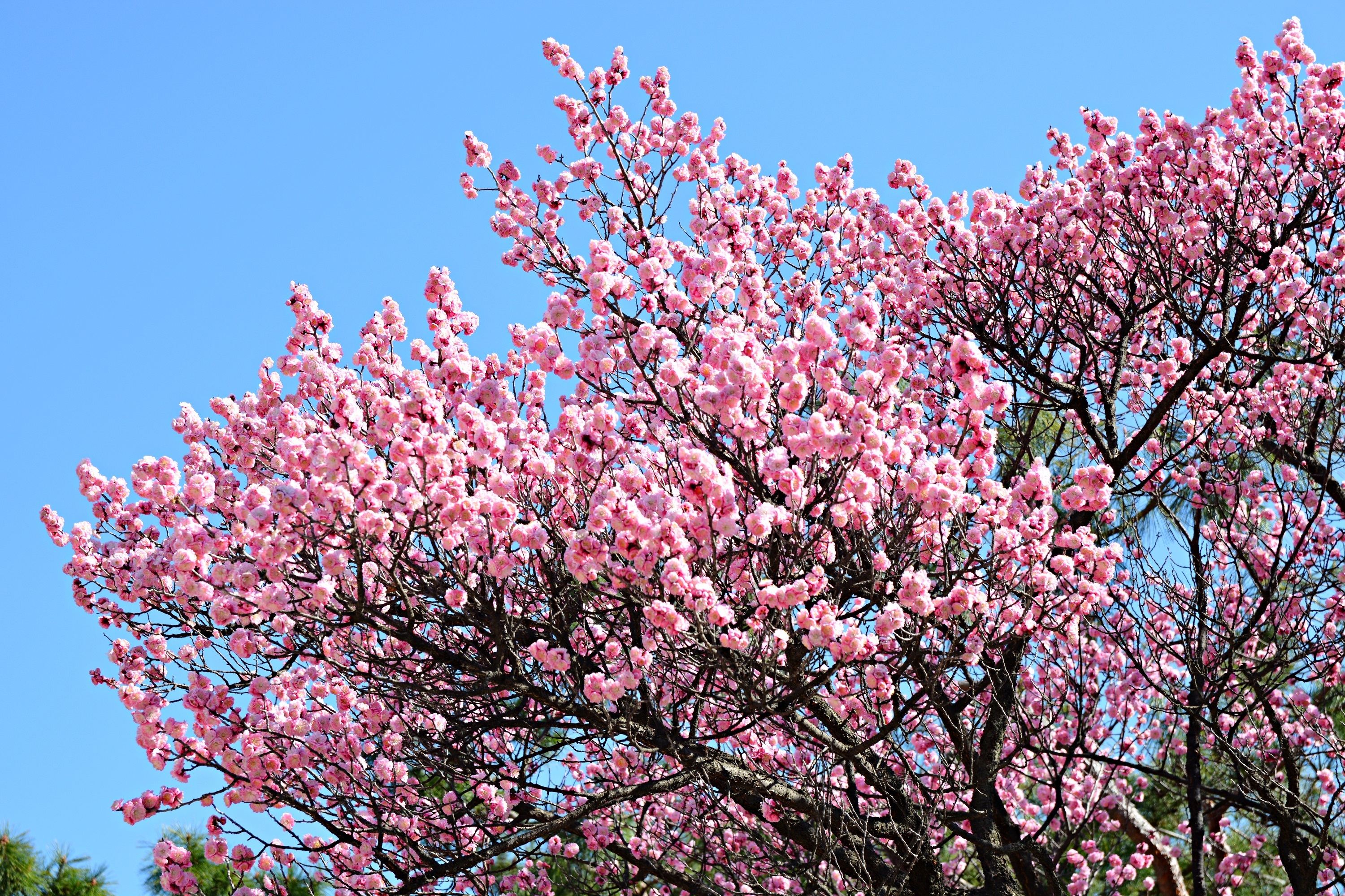 284a68979f3bd8c68c12f07261964f5b2211d1e8