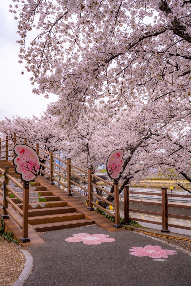 37879d61136c6abefda2b2c354c30cbdc6541ebb