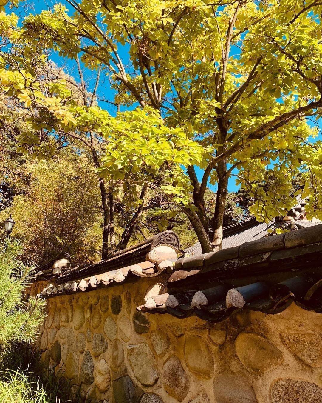 독일 다니엘의 인스타그램에 올라오는 한국 풍경 | 인스티즈