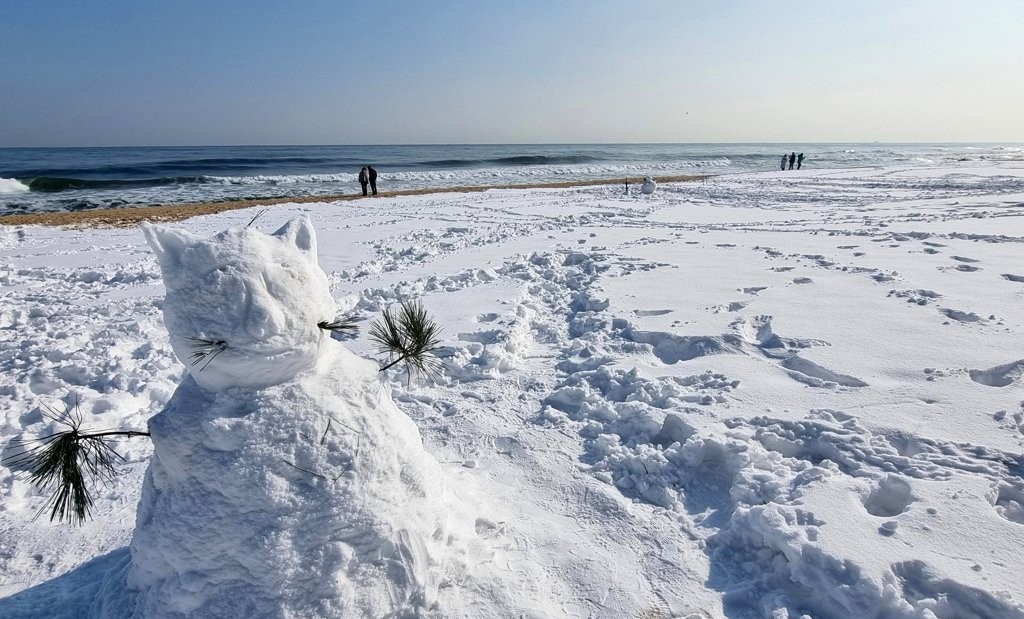 음주폭설로 하얗게 뒤덮힌 강릉 경포대 해변딸 키우는 집에 강아지 키우면 생기는 일.jpg운전 사망자를 90%까지 감소시킨 일본 | 인스티즈