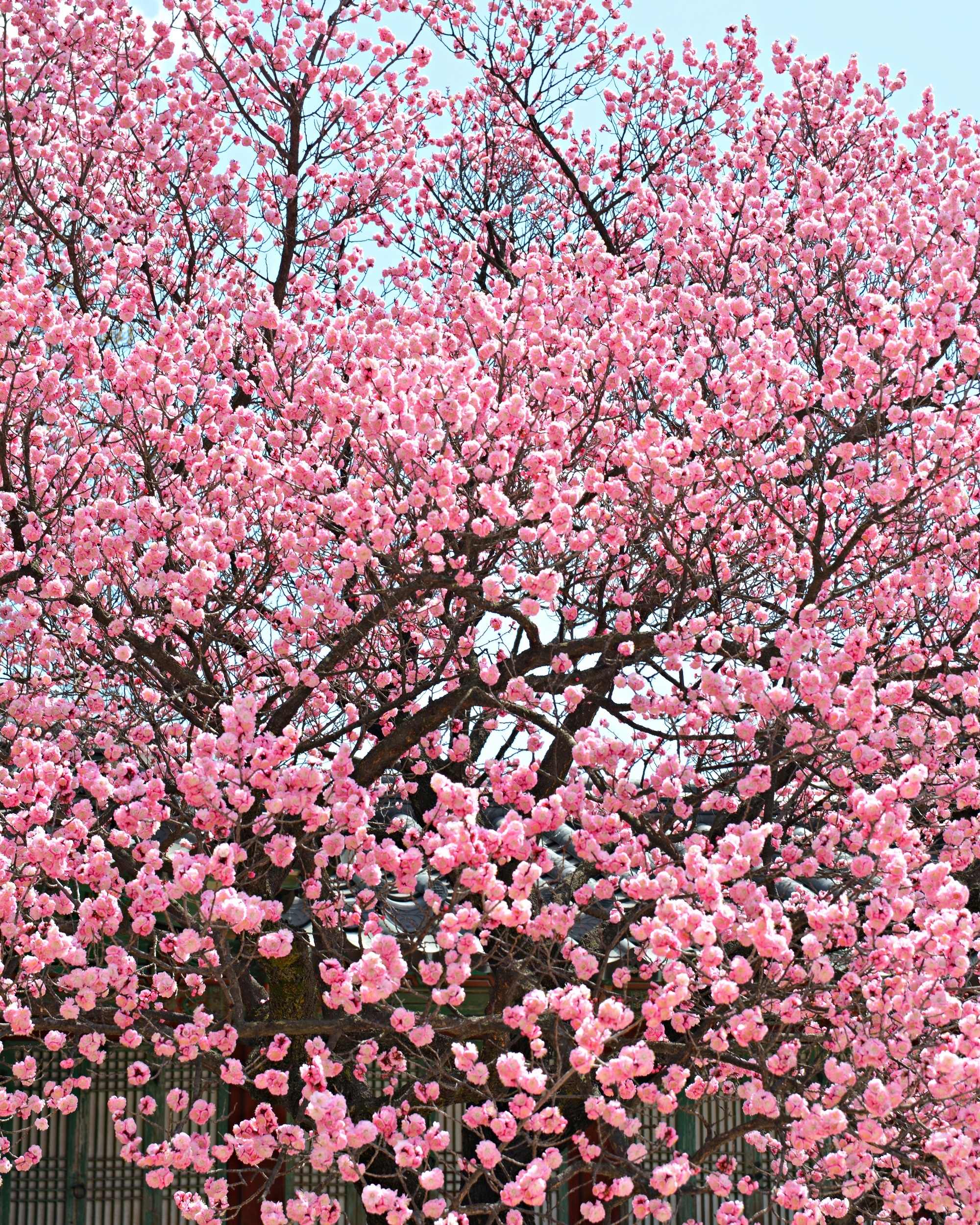 421cfe17f67eee0d8d59423117d4490ec6f6ca74