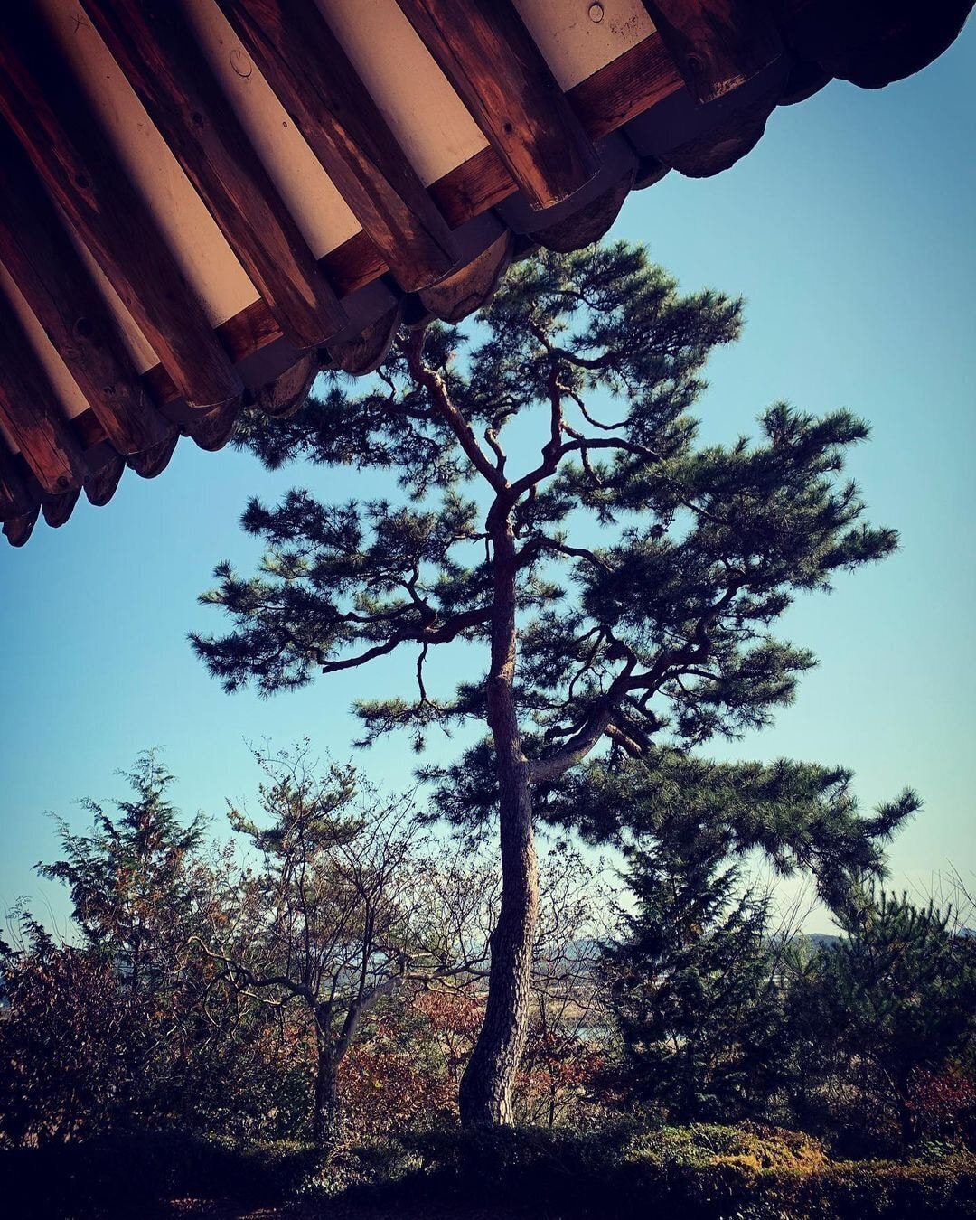 독일 다니엘의 인스타그램에 올라오는 한국 풍경 | 인스티즈