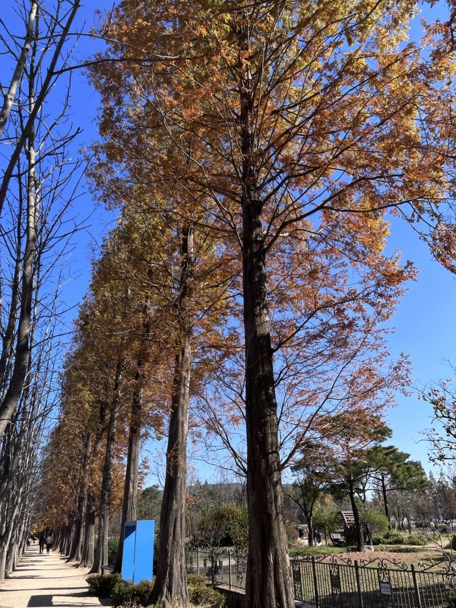 경주산책 이미지