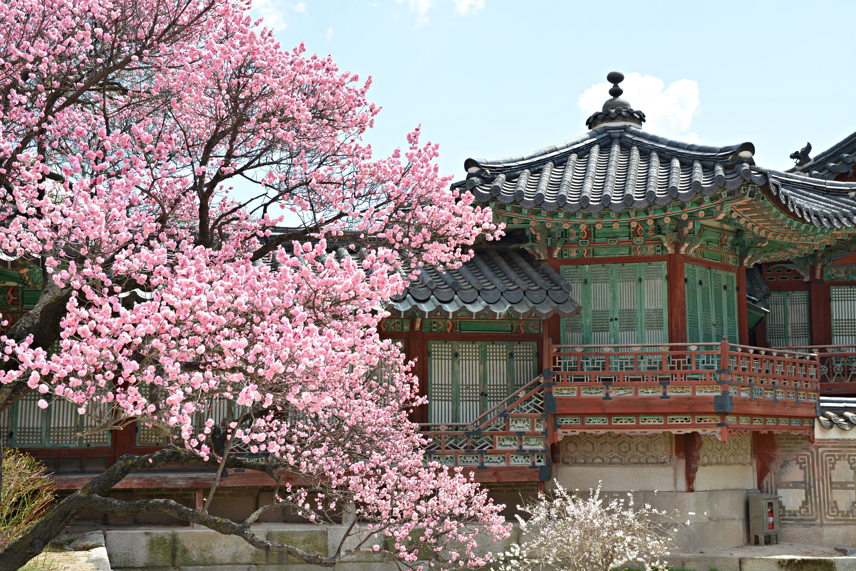 4819a8341aa3a551e4e8f165baae051b7bffd17c