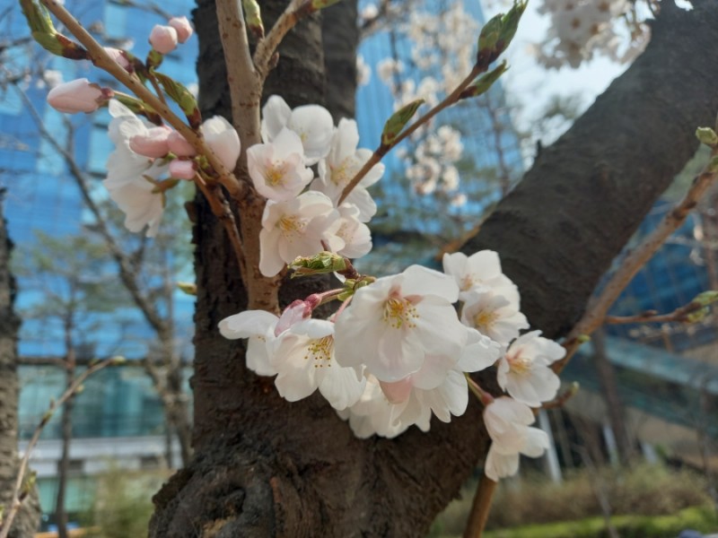 4b6796001e30caf6c61fd2fa12cf2bb4c3fd18c5