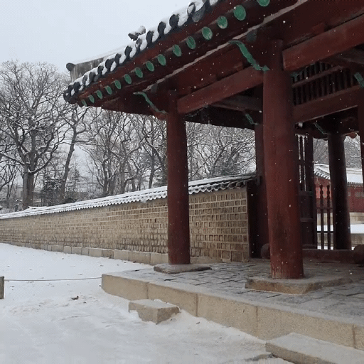 오늘자 눈 내리는 종묘 | 인스티즈