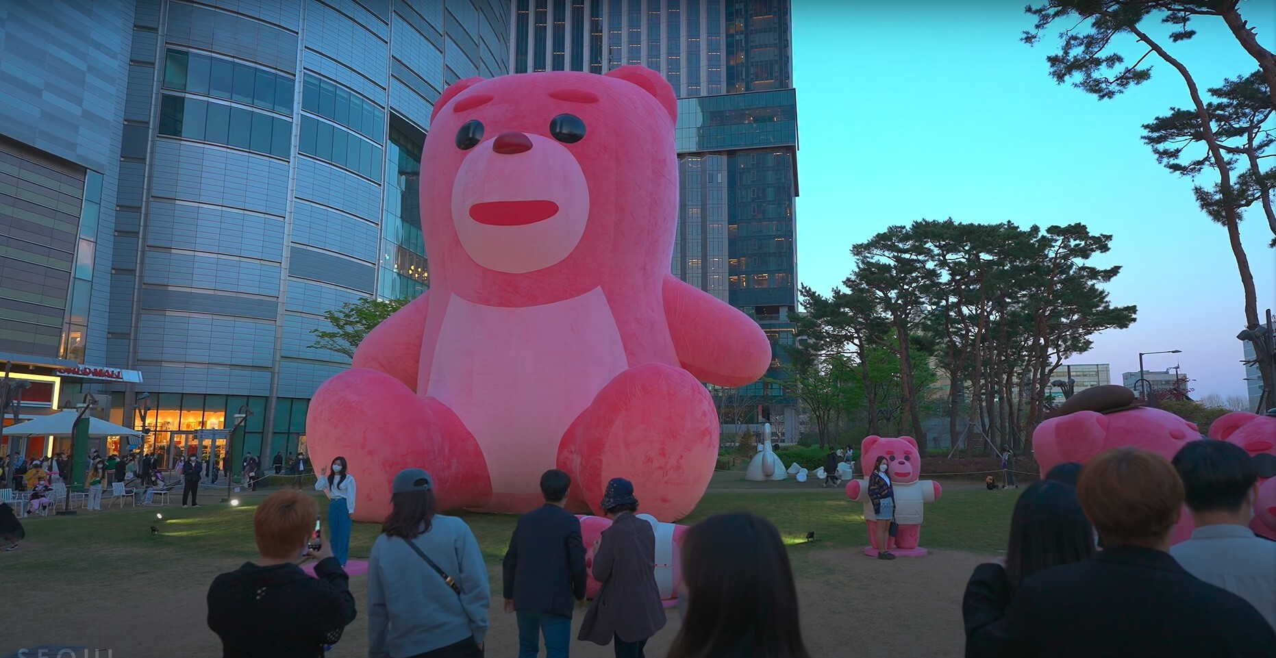핑크벨리 이미지